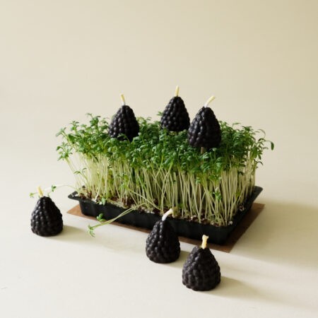 Dortové svíčky Blackberry – Apiformy