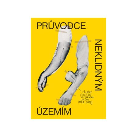 Průvdce neklidným územím - Labyrint