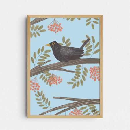 Kos na jeřabině, A4 print – Markét Ilustrace